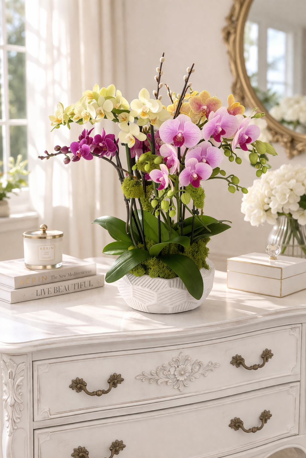 Luxury Orchid Garden Elegance